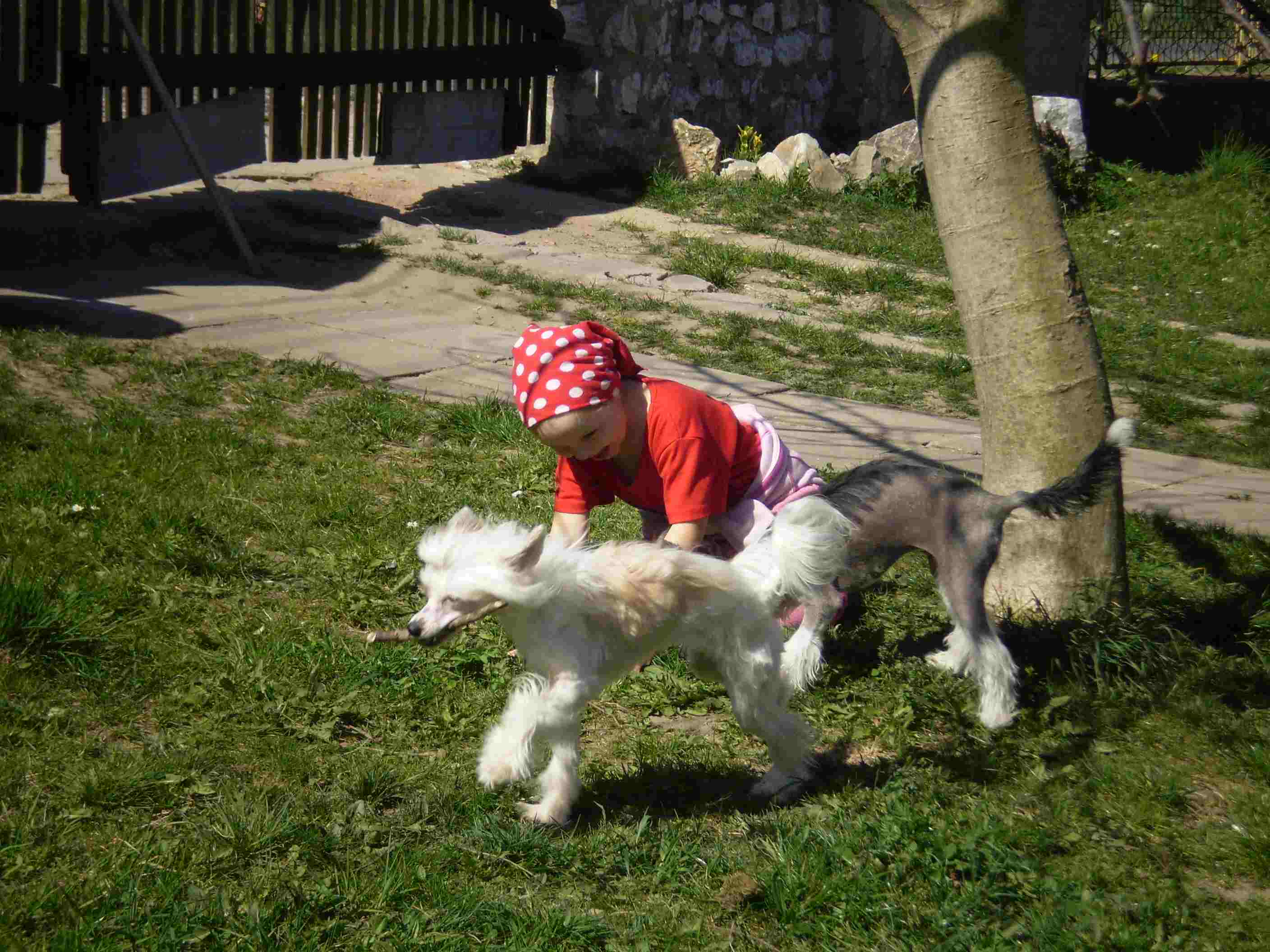 P4150291 (1).jpg
