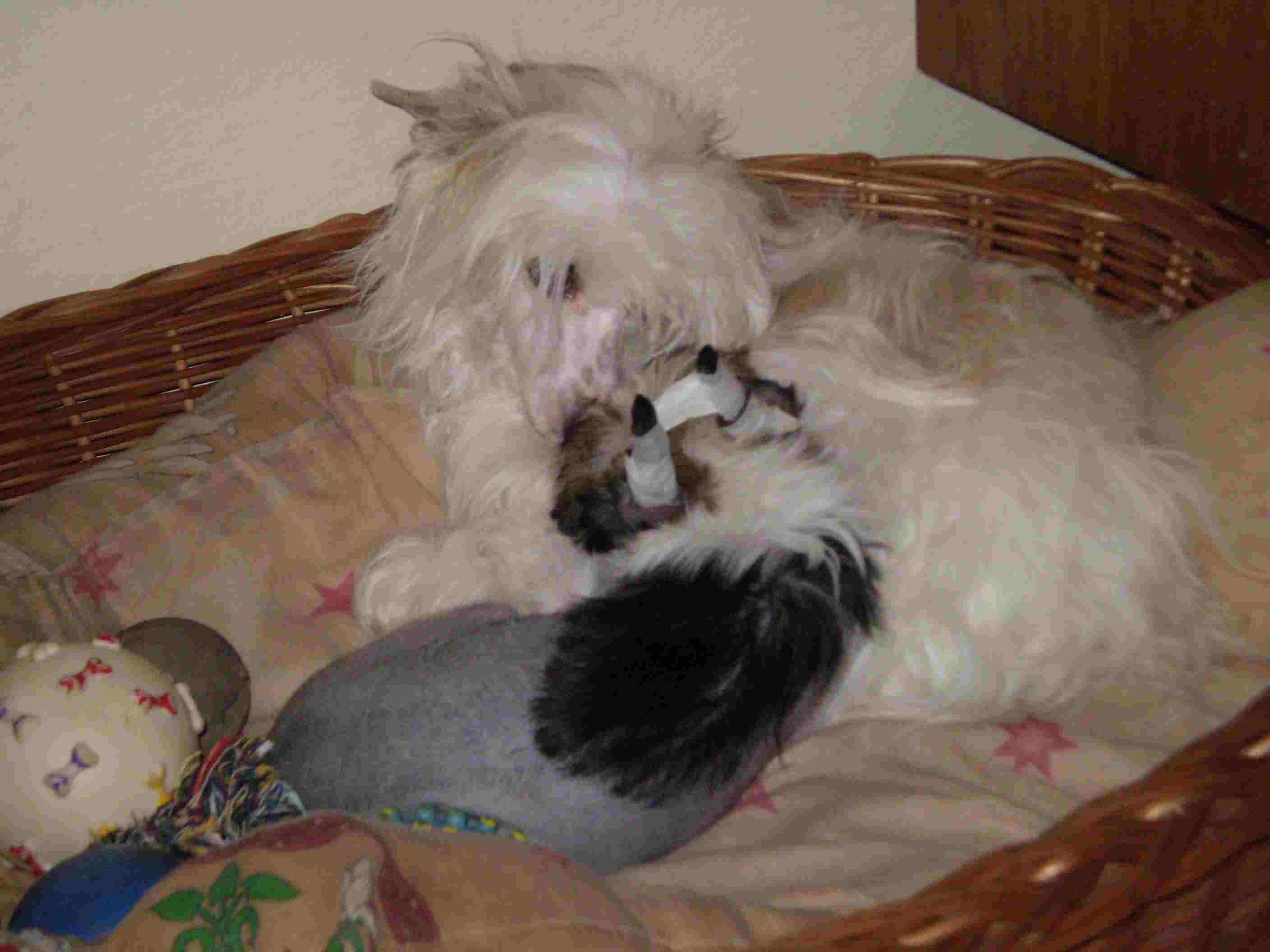 P1280073 (1).jpg