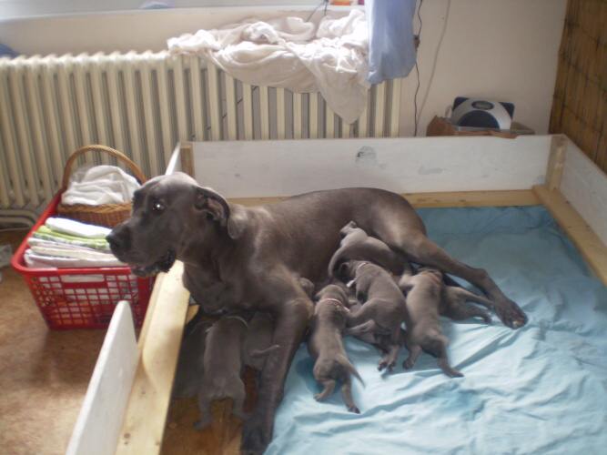agatka 3.4.2010v.jpg