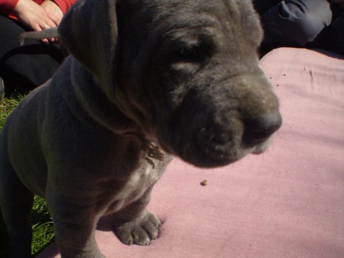 17.4.2010agata8.jpg